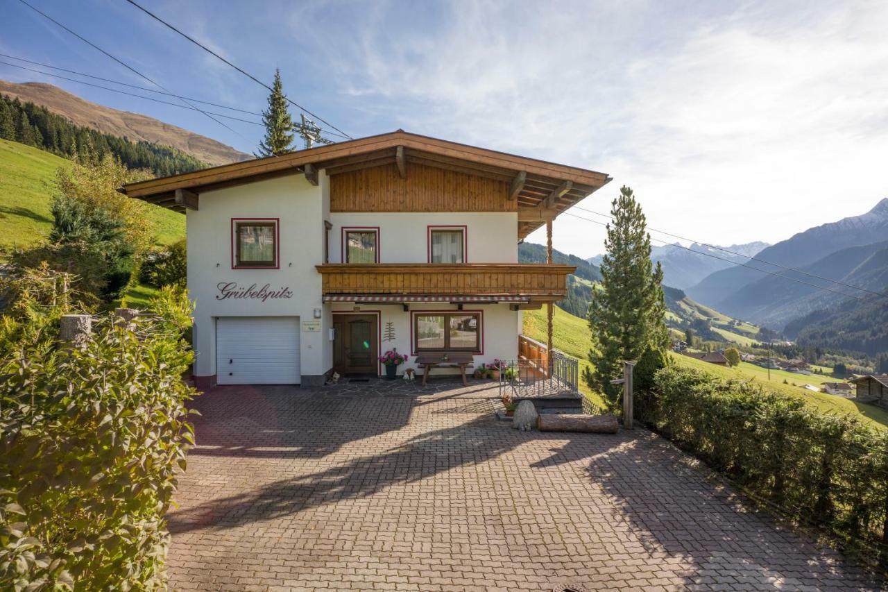 Apartment Gruebelspitz *